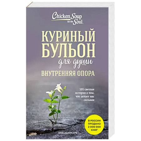 Общественные и гуманитарные науки, книга Куриный бульон для души. Внутренняя опора. 101 светлая история о том, что делает нас сильнее