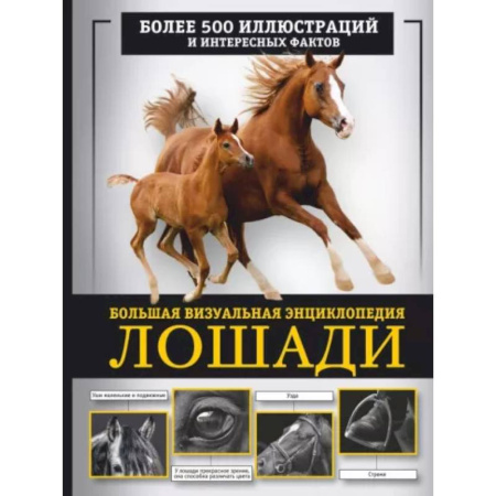 Уход за животными, книга Лошади. Большая визуальная энциклопедия