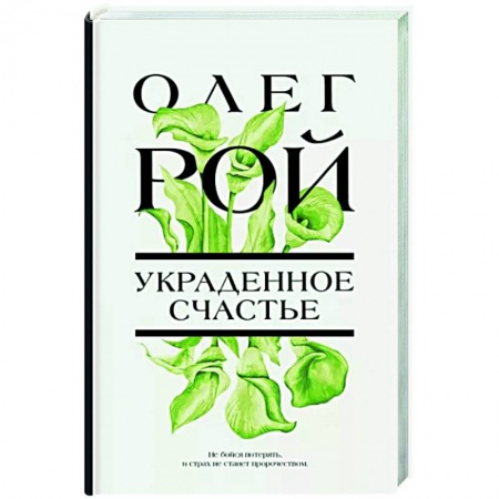 Любовный роман, книга Украденное счастье