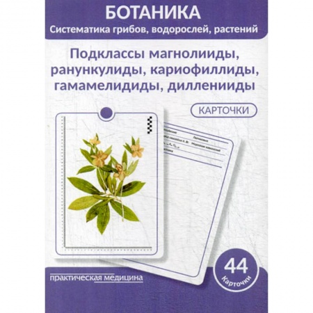 Естественные науки, книга Ботаника. Систематика грибов, водорослей, растений. Подклассы магнолииды, ранункулиды, кариофиллиды, гамамелидиды, дилленииды