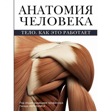 Книги, книга Анатомия человека