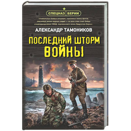 Детективы, триллеры, книга Последний шторм войны