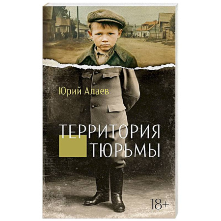 Классика, современная литература, книга Территория тюрьмы