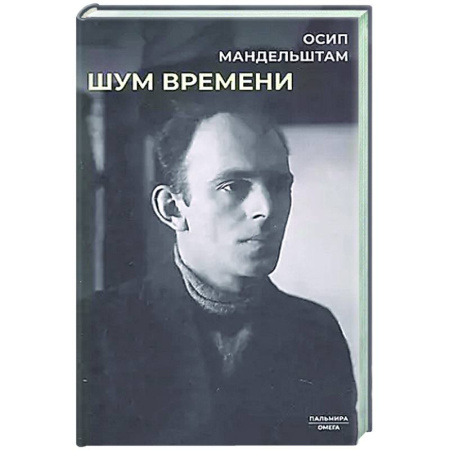 Мемуары, биографии, книга Шум времени