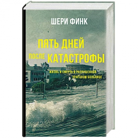 Публицистика, книга Пять дней после катастрофы