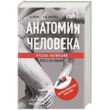 Здоровье, медицинская литература, книга Анатомия человека: Русско-латинский атлас с QR-кодами