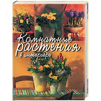 Комнатные растения в интерьере