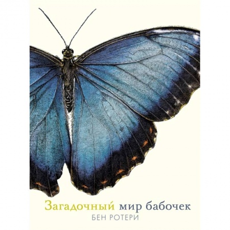 Познавательная литература, книга Загадочный мир бабочек