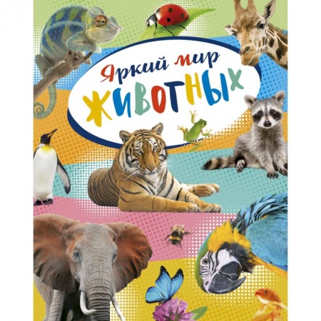 Познавательная литература, книга Яркий мир животных