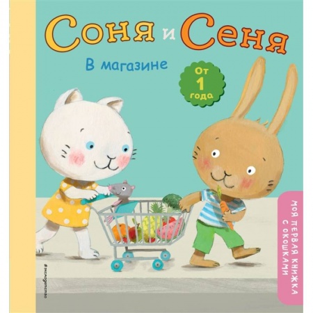 Книги, книга Соня и Сеня в магазине
