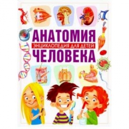 Познавательная литература, книга Анатомия человека. Энциклопедия для детей