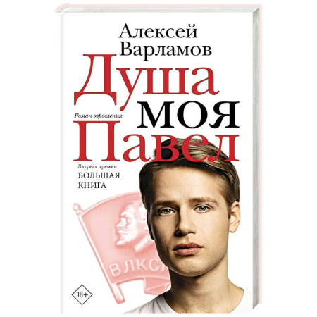 Классика, современная литература, книга Душа моя Павел