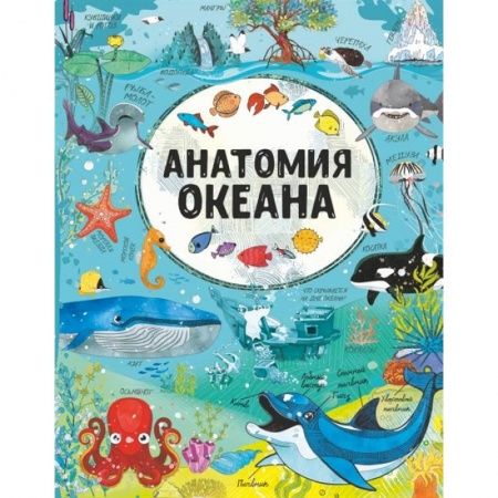 Познавательная литература, книга Анатомия океана