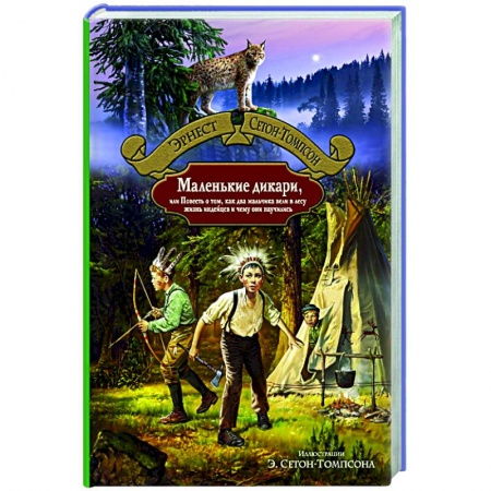 Приключения, книга Маленькие дикари, или Повесть о том, как два мальчика вели в лесу жизнь индейцев