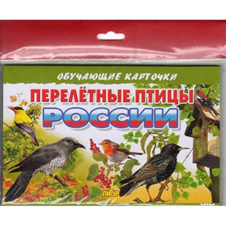 Дошкольникам, книга Перелетные птицы России