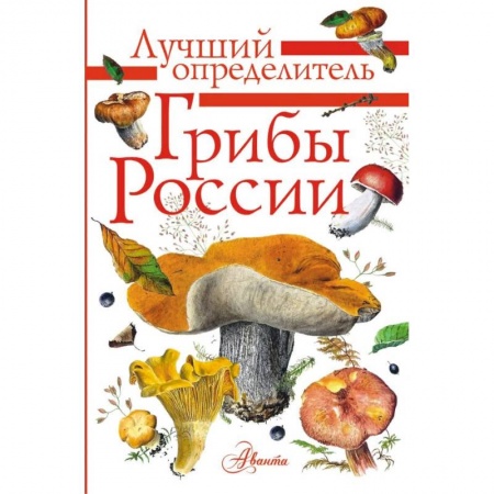 Познавательная литература, книга Грибы России. Определитель