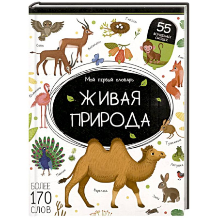 Азбука. Букварь, книга Мой первый словарь. Живая природа