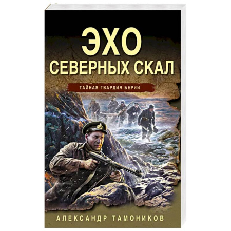 Детективы, триллеры, книга Эхо северных скал