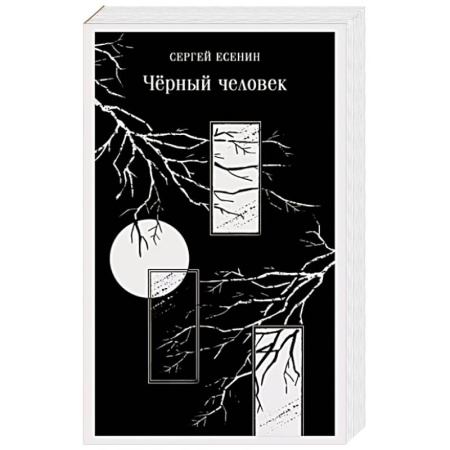 Классика, современная литература, книга Чёрный человек