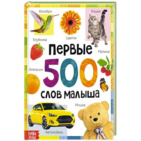 Познавательная литература, книга Первые 500 слов малыша