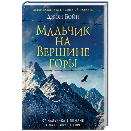 Книги, книга Мальчик на вершине горы