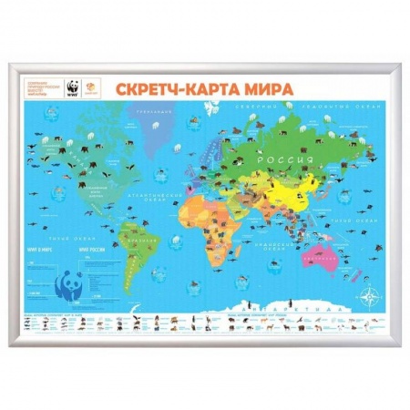 Атласы. Карты, книга Скретч-карта мира А1 'WWF. Orange Edition'