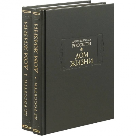 Классика, современная литература, книга Дом жизни. В 2-х книгах