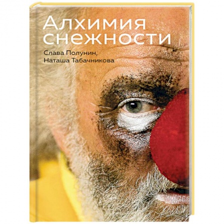 Классика, современная литература, книга Алхимия снежности