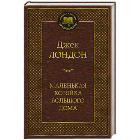 Классика, современная литература, книга Маленькая хозяйка большого дома