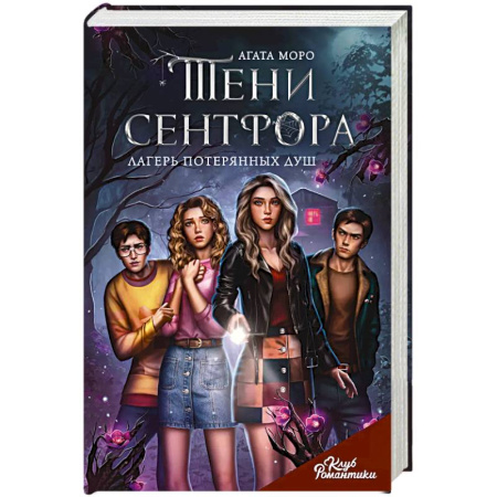 Любовный роман, книга Клуб Романтики. Тени Сентфора. Лагерь потерянных душ