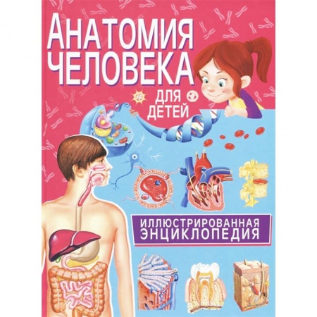 Познавательная литература, книга Анатомия человека для детей. Иллюстрированная энциклопедия