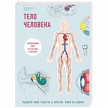 Тело человека. Детский интерактивный атлас по анатомии с вырубкой. Разбери свое тело на 6 систем. Слой за слоем
