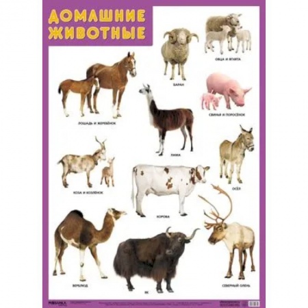 Познавательная литература, книга Воздушный транспорт