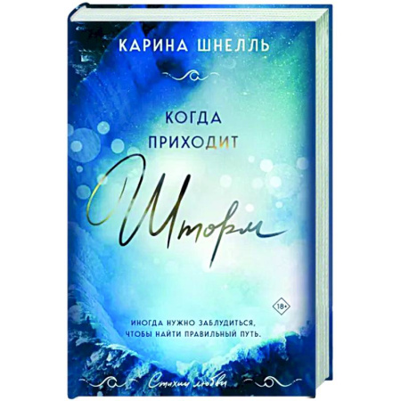 Любовный роман, книга Когда приходит шторм