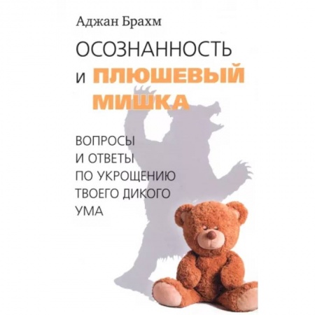 Религии мира, книга Осознанность и плюшевый мишка. Вопросы и ответы по укрощению твоего дикого ума