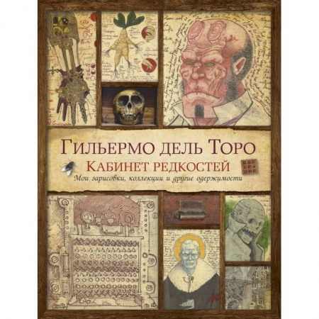Культура, искусство, книга Кабинет редкостей. Мои зарисовки, коллекции и другие одержимости
