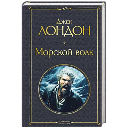 Приключения, книга Морской волк