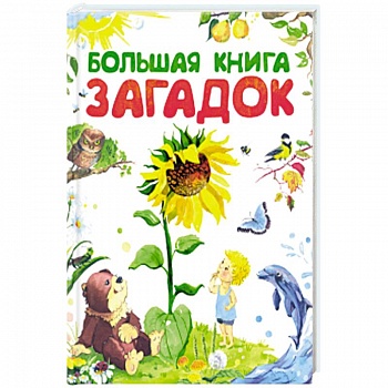 Большая книга загадок