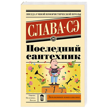 Классика, современная литература, книга Последний сантехник