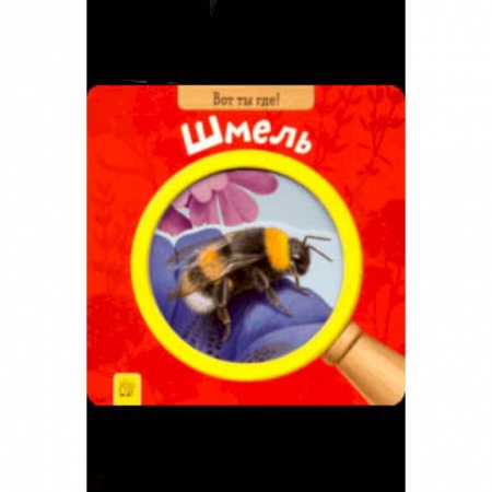 Книги для самых маленьких (0-3 года), книга Вот ты где! Шмель