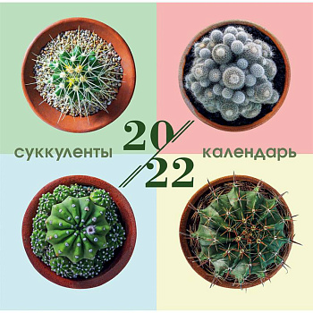 Суккуленты. Календарь настенный на 2022 год