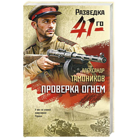 Детективы, триллеры, книга Проверка огнем