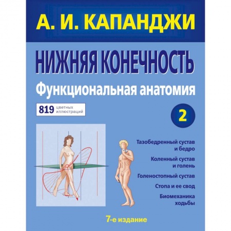Специальная медицина, книга Нижняя конечность. Функциональная анатомия (обновленное издание)