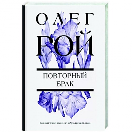 Любовный роман, книга Повторный брак