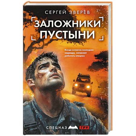 Детективы, триллеры, книга Заложники пустыни