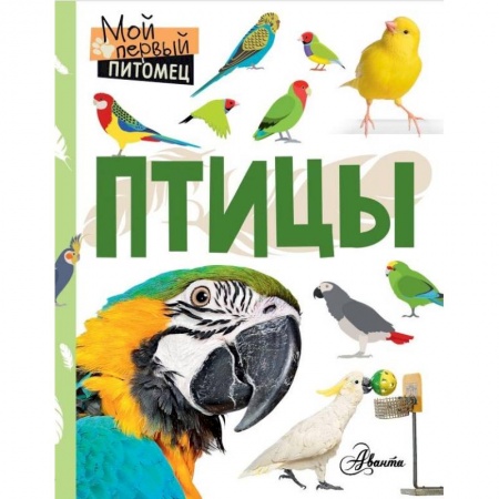 Познавательная литература, книга Птицы