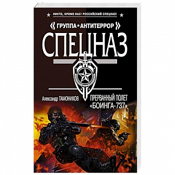 Прерванный полет «Боинга-737»