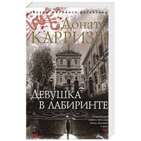 Детективы, триллеры, книга Девушка в лабиринте