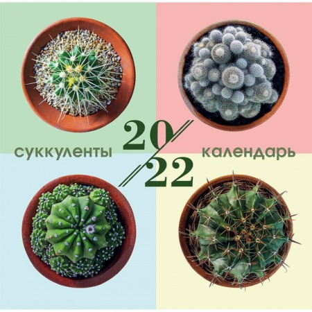 Суккуленты. Календарь настенный на 2022 год