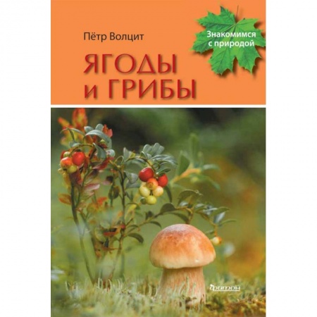 Познавательная литература, книга Ягоды и грибы